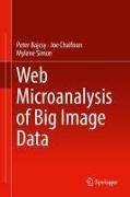 Web Microanalysis of Big Image Data