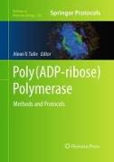 Poly(ADP-ribose) Polymerase