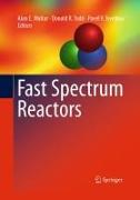 Fast Spectrum Reactors