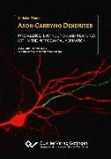 Axon-Carrying Dendrites. Prevalence, Distribution and Features within the Hippocampal Formation