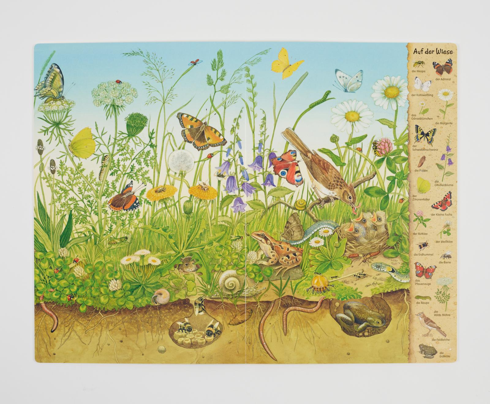 Beispielinhalt (Bild) Riesen-Wimmelbuch: Das Riesen-Natur-Wimmelbuch