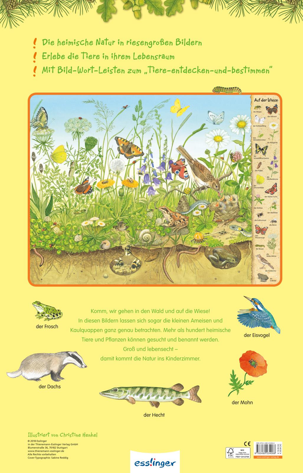 Rückseitencover Riesen-Wimmelbuch: Das Riesen-Natur-Wimmelbuch