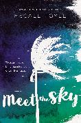 Meet the Sky