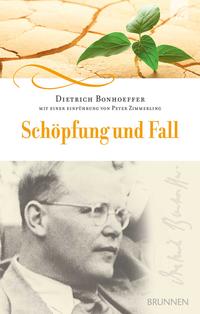 Vorderes Coverbild Schöpfung und Fall