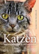 Katzen – Seelengefährten & Herzeroberer