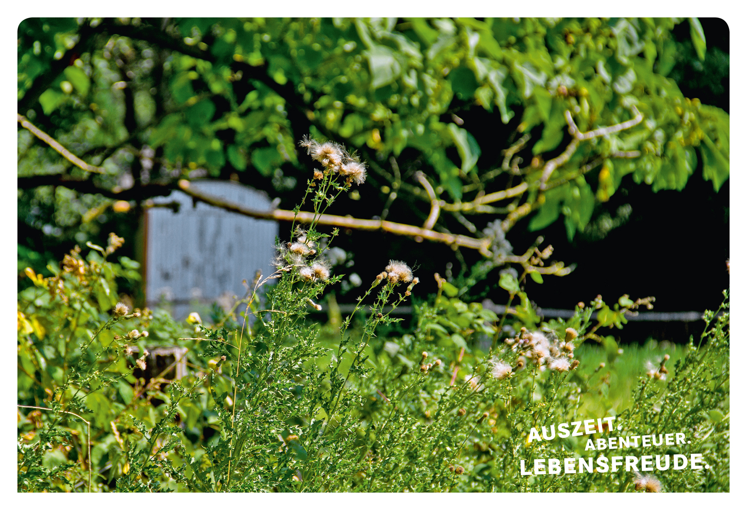 Beispielinhalt (Bild) 52 kleine & große Eskapaden am Niederrhein