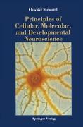 Principles of Cellular, Molecular, and Developmental Neuroscience