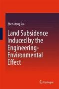 Land Subsidence Induced by the Engineering-Environmental Effect