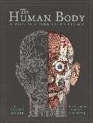 The Human Body