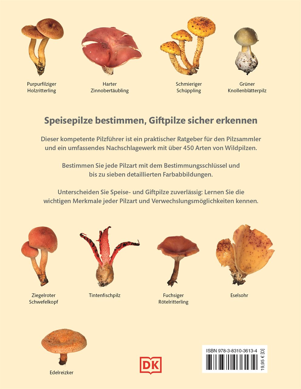 Rückseitencover Pilze