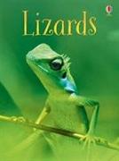 Lizards