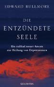 Die entzündete Seele