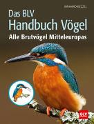 Das BLV Handbuch Vögel