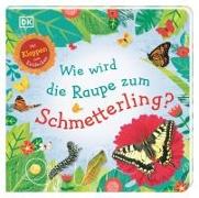 Wie wird die Raupe zum Schmetterling?