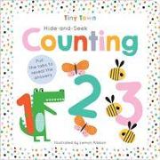 Hide-and-Seek Counting