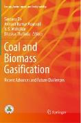 Coal and Biomass Gasification