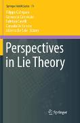 Perspectives in Lie Theory