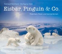 Eisbär, Pinguin & Co