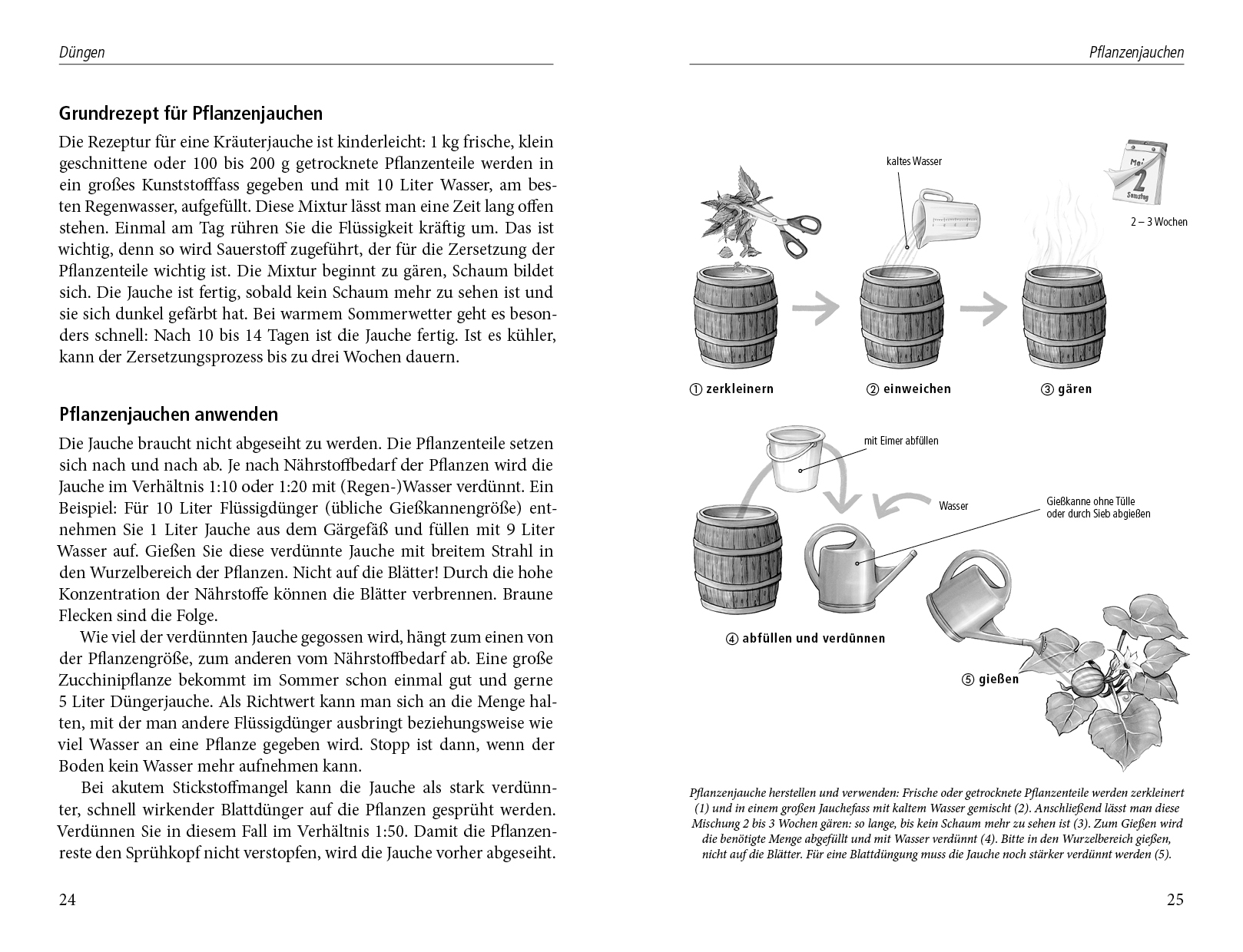 Beispielinhalt (Bild) Beinwelljauche, Knoblauchtee & Co
