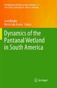 Dynamics of the Pantanal Wetland in South America