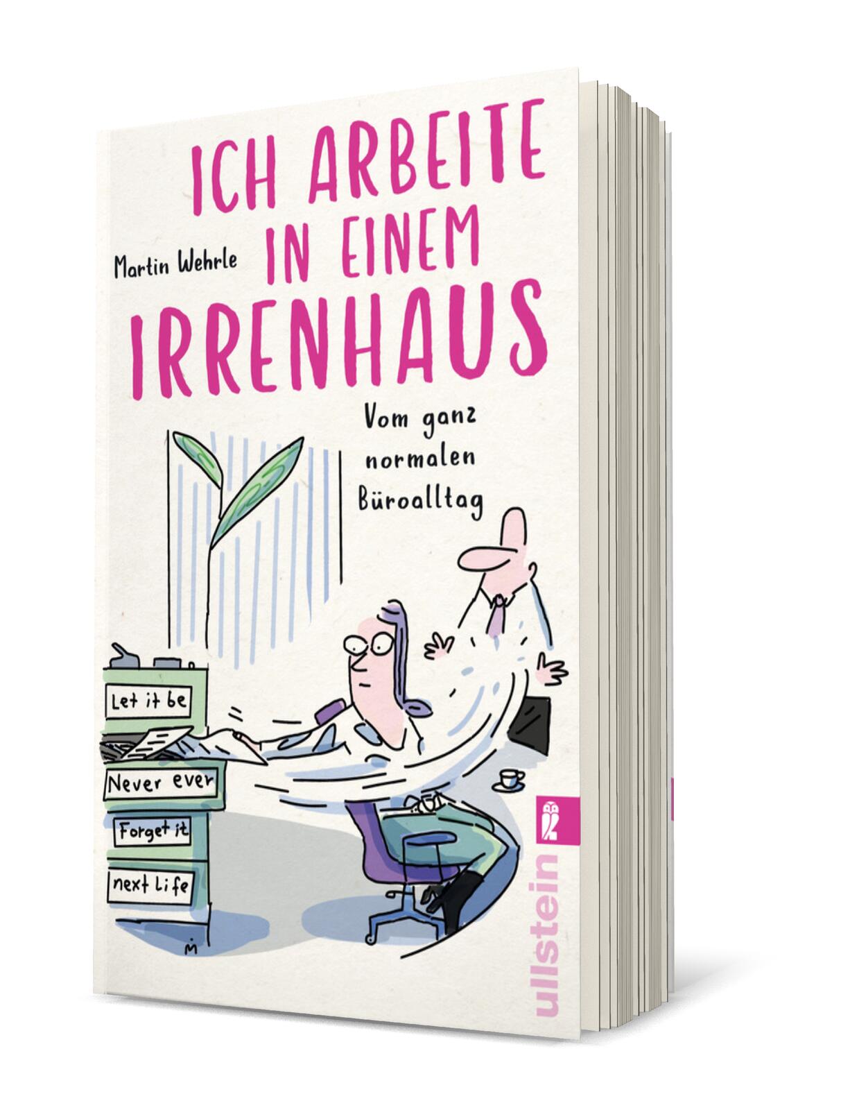 Anderes Coverbild Ich arbeite in einem Irrenhaus