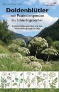 Doldenblütler von Pastinakengemüse bis Schierlingsbecher