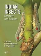 Indian Insects