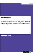 Praxiseinsatz ambulante Pflege mit NANDA Pflegediagnosen anhand eines Fallbeispiels