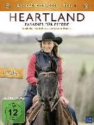 Heartland - Paradies für Pferde, Staffel 11.1 (3 DVDs)