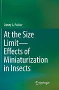 At the Size Limit - Effects of Miniaturization in Insects