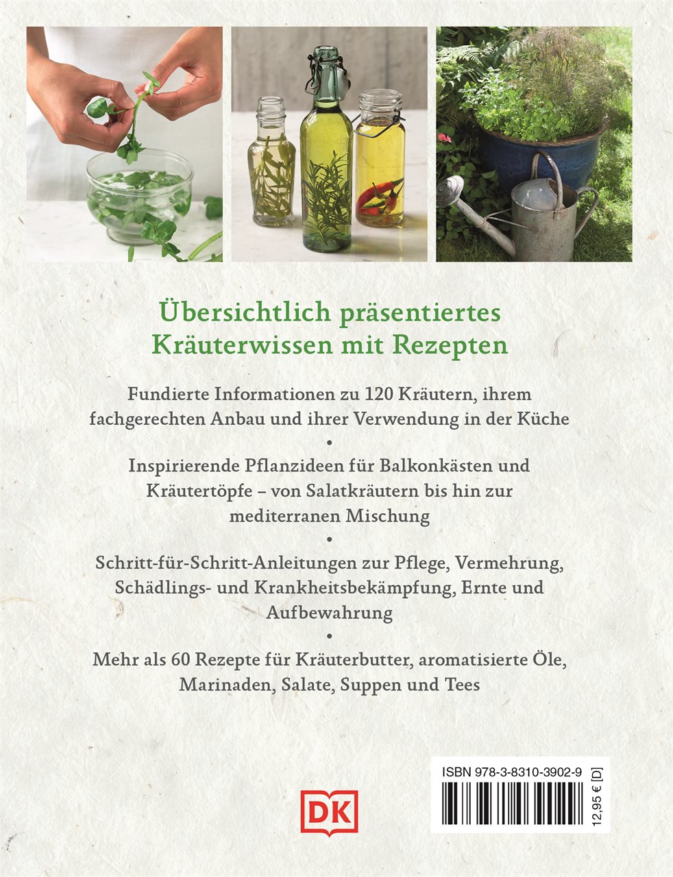Rückseitencover Küchenkräuter anbauen und genießen