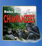 Chimpanzees