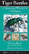 Tiger Beetles of Minnesota, Wisconsin & Michigan