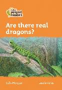 Are there real dragons?