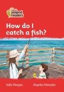 How do I catch a fish?