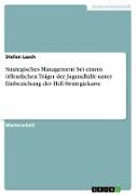 Strategisches Management bei einem öffentlichen Träger der Jugendhilfe unter Einbeziehung der HzE-Strategiekarte