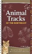 Animal Tracks of the Northeast