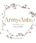 Army Ants