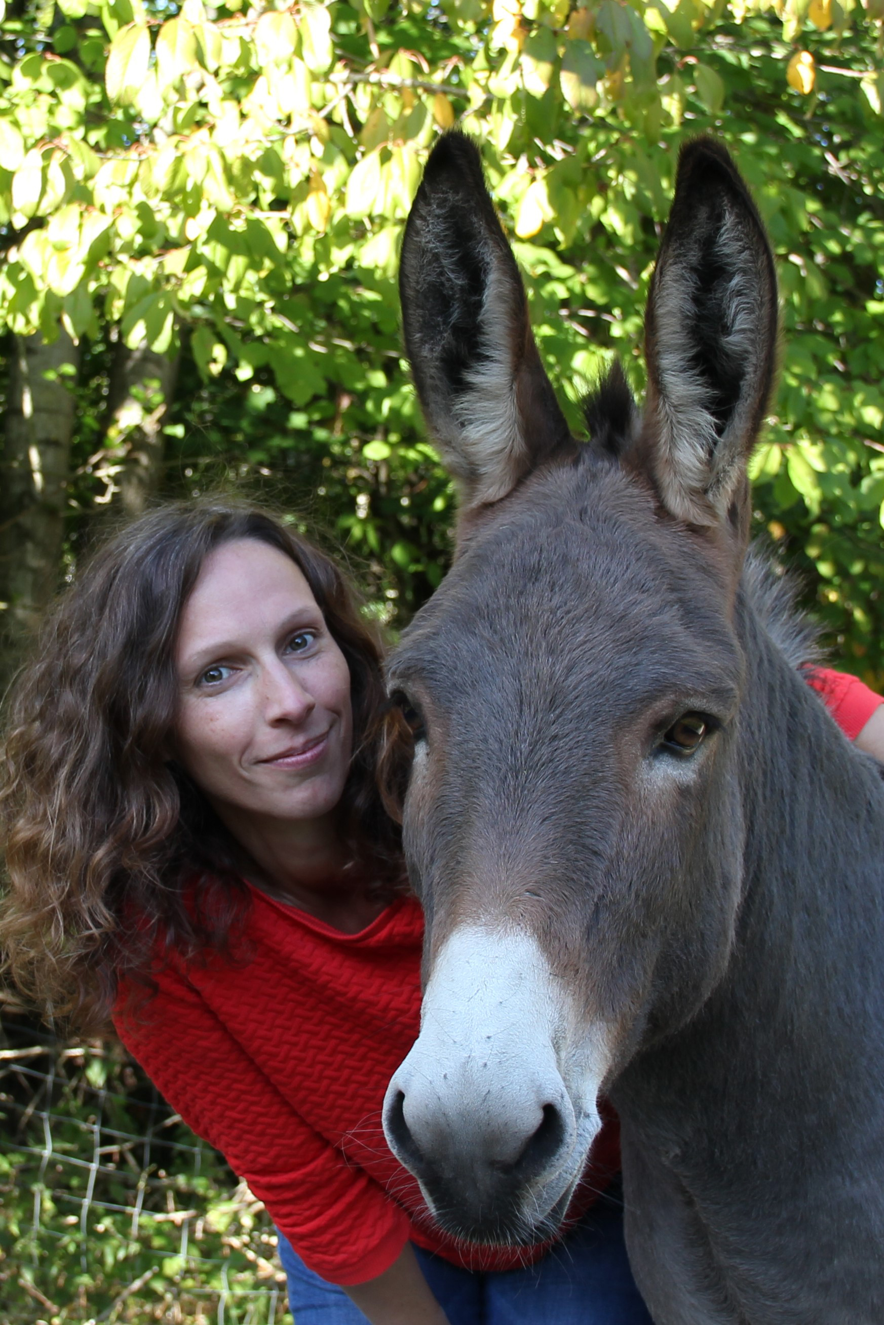 Bild des Mitwirkenden Ponyschule Trippelwick - Meine Freunde