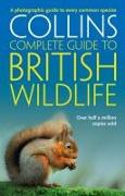 British Wildlife