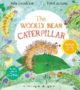 The Woolly Bear Caterpillar