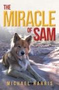 The Miracle of Sam