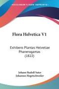 Vorderes Coverbild Flora Helvetica V1