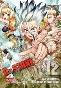 Dr. Stone 12