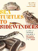 Sea Turtles to Sidewinders