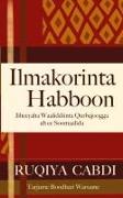 Ilmakorinta Habboon