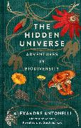 The Hidden Universe