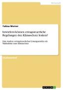 Inwiefern können ertragsteuerliche Regelungen den Klimaschutz lenken?