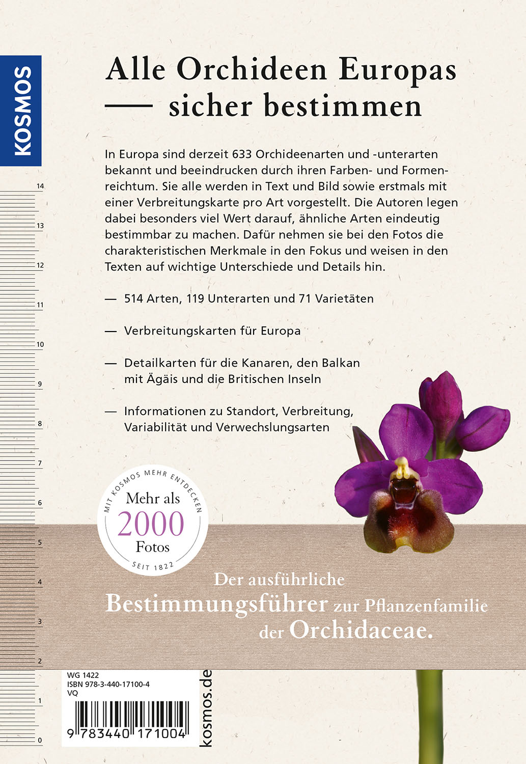 Rückseitencover Orchideen Europas