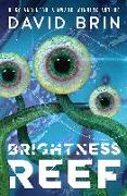 Brightness Reef